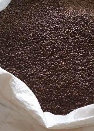 18+! очень крепкий кофе в зернах для ценителей | зерновая уганда от производителя 1 кг9 фото