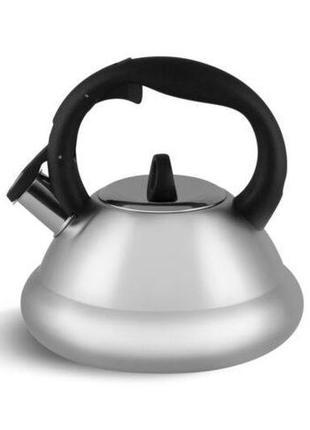 Чайник зі свистком 3 л із неіржавкої сталі edenberg eb-8814 чайник для індукційної плити чайник газовий3 фото