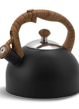 Чайник зі свистком 2.5 л з нержавіючої сталі edenberg eb-8825 чайник для індукційної плити чайник газовий3 фото