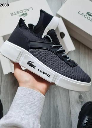 Мужские кроссовки lacoste (серые)