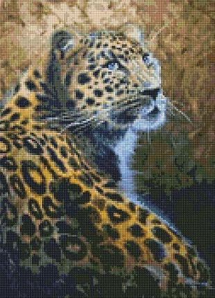 Алмазная мозаика "грациозный хищник" 40х50см