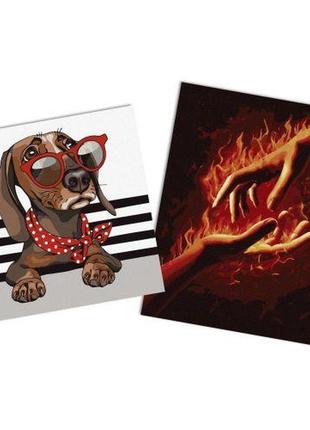 Набор картин по номерам "2в1": 40х50 и 40х40