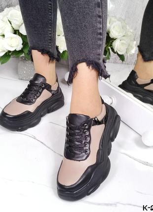 Кросівки шкіра