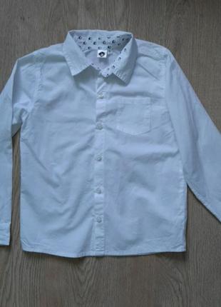 Хлопковая рубашка для мальчика 6 лет. zeplin
