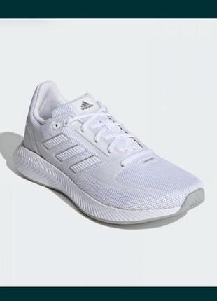 Adidas кросівки жіночі.
