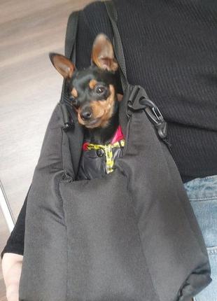 Сумка переноска для собак і кішок є розміри і кольори6 фото