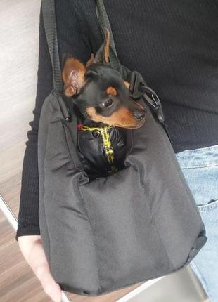 Сумка переноска для собак і кішок є розміри і кольори5 фото