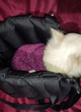 Сумка переноска для собак і кішок є розміри і кольори7 фото