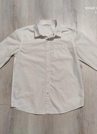 Рубашка хлопок mango рост-152см 11-12лет3 фото