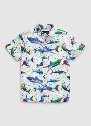 Яскрава рубашка сорочка некст з акулами