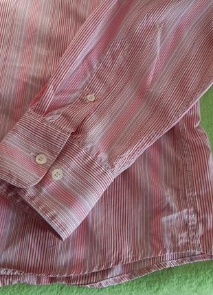 Розовая рубашка в разноцветную полоску lacoste,💯 оригинал, молниеносная отправка3 фото