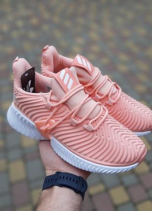 Жіночі кросівки adidas alphabounce instinct пудрові  знижка sale | smb