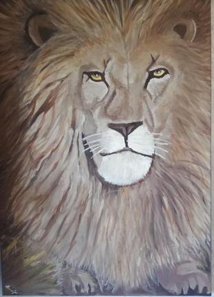 Картина  лев маслом на холсте, портрет льва  50 на 704 фото