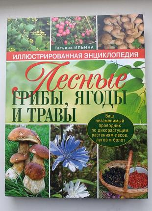 Лісові гриби, ягоди і трави