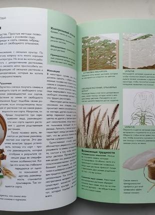 Розмноження рослин. міранда сміт5 фото