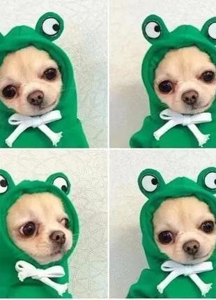 Милая толстовка с капюшоном для собак в форме лягушки2 фото