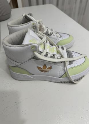 Кросівки оригінальні adidas4 фото