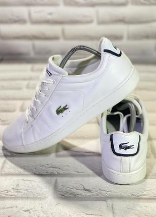 Кросівки lacoste