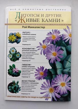 Літопси та інші "живі камені"