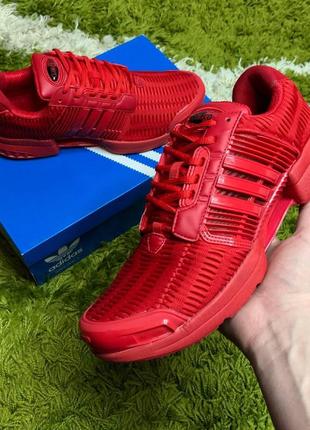 Мужские кроссовки adidas climacool