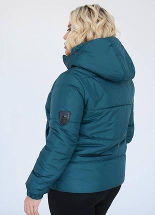 Жіноча базова весняна куртка на синтепоні однотонна батал3 фото