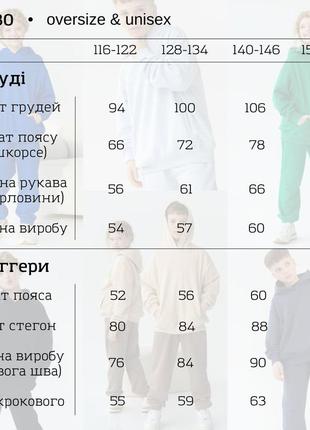 Спортивный детский костюм для мальчика не кашлатится трехнитка петля весна 116-158 бежевый/шоколад2 фото