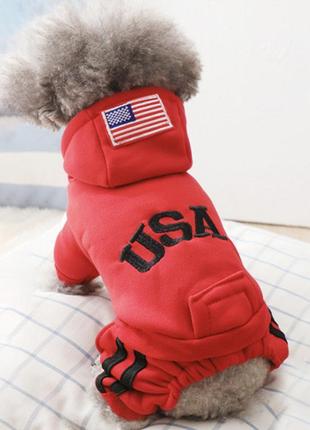 Спортивный костюм комбинезон для котов и кошек pet style "usa" красный