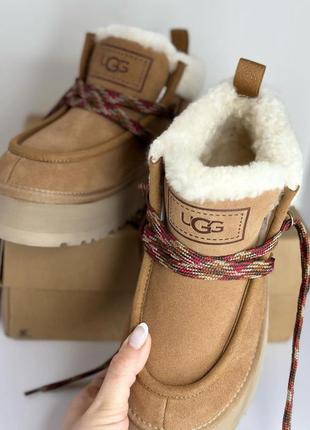 Уггі ugg 5