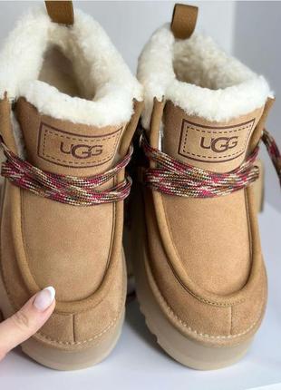 Уггі ugg 4