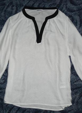 Белая блузка1 фото