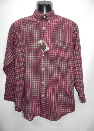 Чоловіча сорочка з довгим рукавом basic edition р.46-48 038dr (тільки в зазначеному розмірі, тільки 1 шт.)