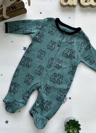 Чоловічок ведмежа зелений