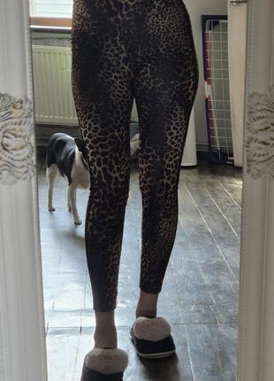 Лрсіни, легінси, штани для бігу та фітнесу, леопардовий принт2 фото