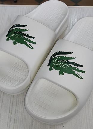 Шльопанці lacoste