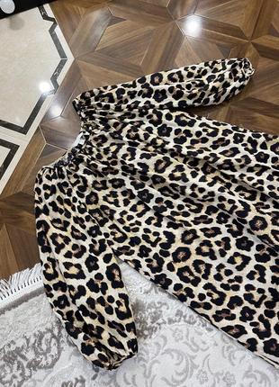 Леопардова сукня міді h&m7 фото