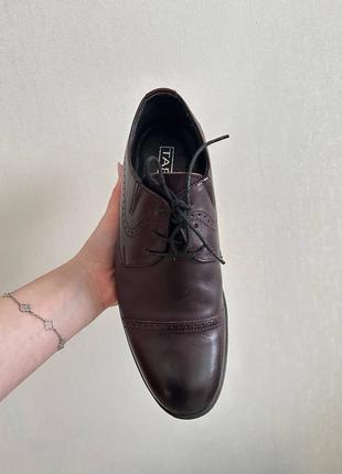Чоловіче класичне взуття шкіряні оксфорди tapi nero коричневі/бордові/вишневі3 фото