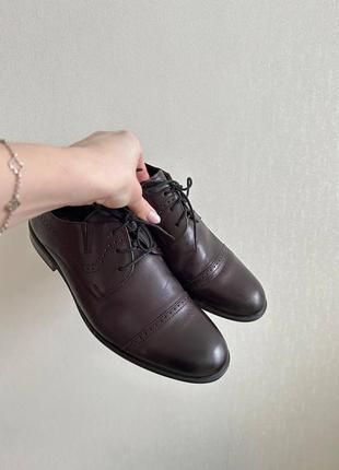 Чоловіче класичне взуття шкіряні оксфорди tapi nero коричневі/бордові/вишневі4 фото