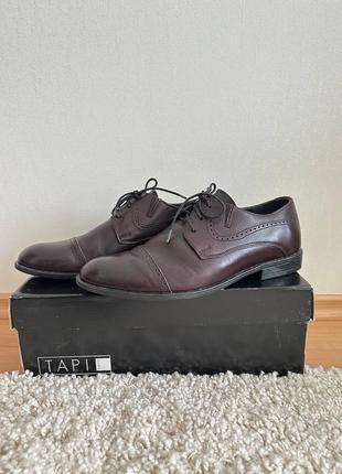 Чоловіче класичне взуття шкіряні оксфорди tapi nero коричневі/бордові/вишневі2 фото