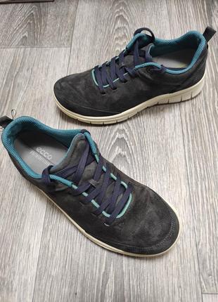 Замшевые женские туфли кроссовки ecco legero 36-37p3 фото