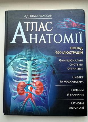 Атлас анатомії, адольфо кассан