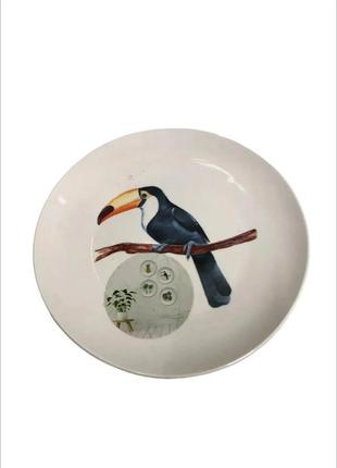 Декоративная тарелка на стену "тукан" wonder wal l 22,5 х 2,5 см