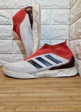 Кросівки adidas