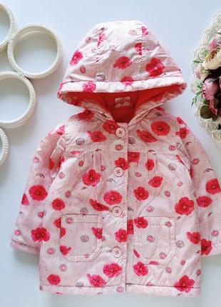 Вітровка на флісі  артикул: 18908