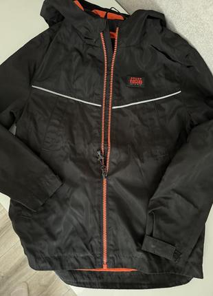 Вітрівка хлопчача