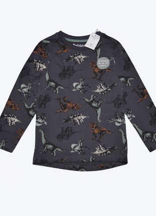 Сірий реглан лонгслів з динозаврами nutmeg на хлопчика 4-5 років