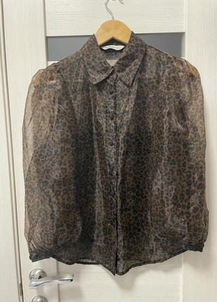 Леопардова блуза з обʼємними рукавами stradivarius
