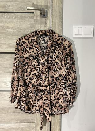 Шифонова блуза жіноча, блузка, рубашка, кофтинка, кофта точка