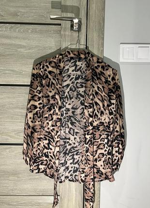 Шифонова блуза жіноча, блузка, рубашка, кофтинка, кофта точка4 фото
