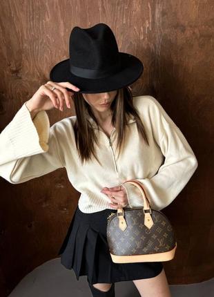 Louis vuitton bag 6