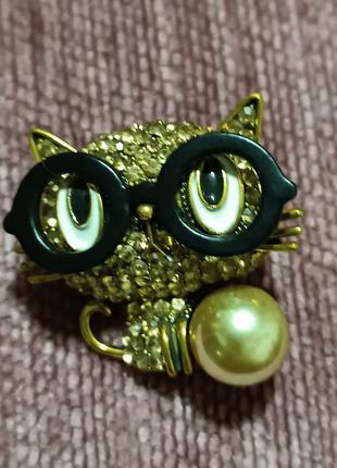 Брош кішка в окулярах актуально